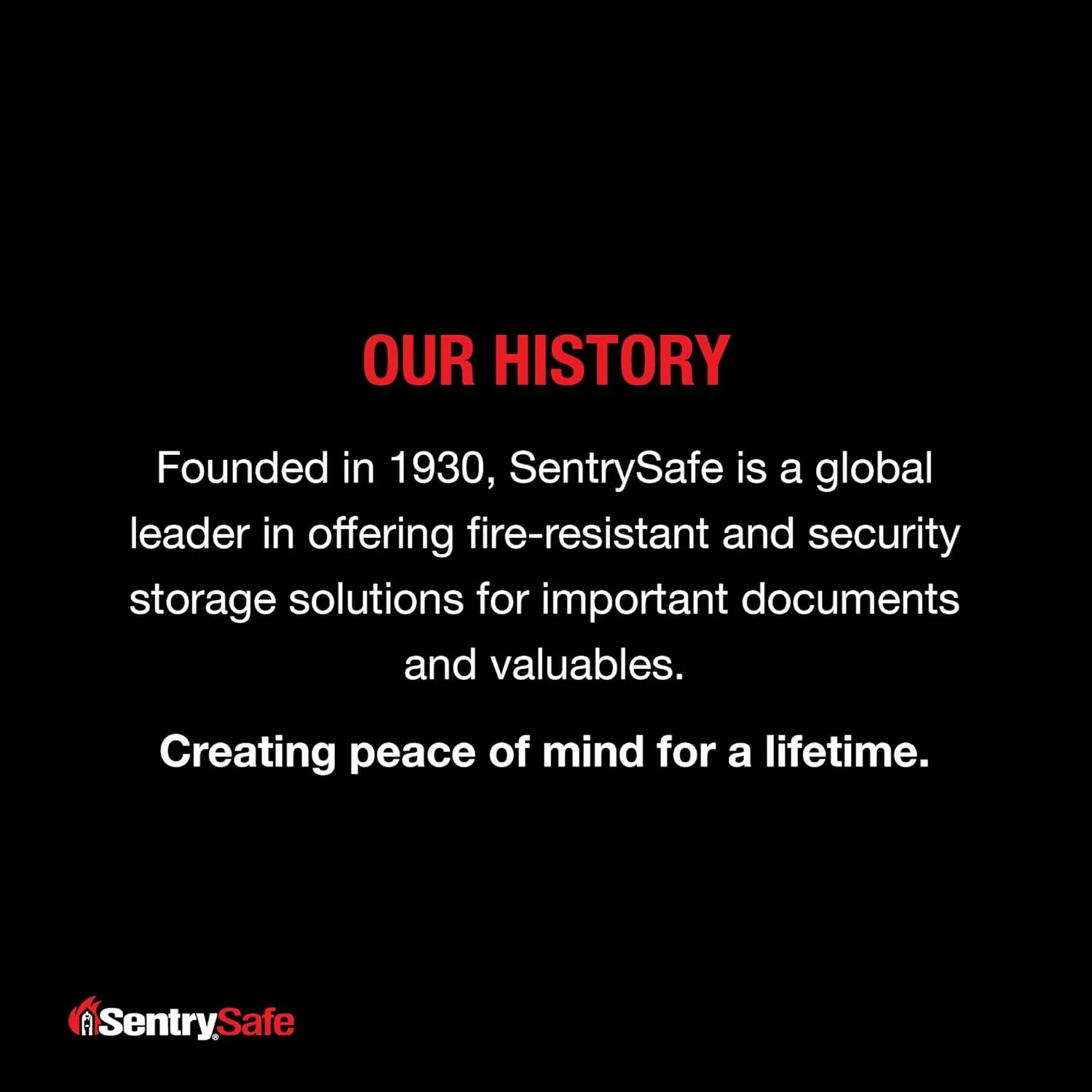 61YtzZ075VL. AC SL1500