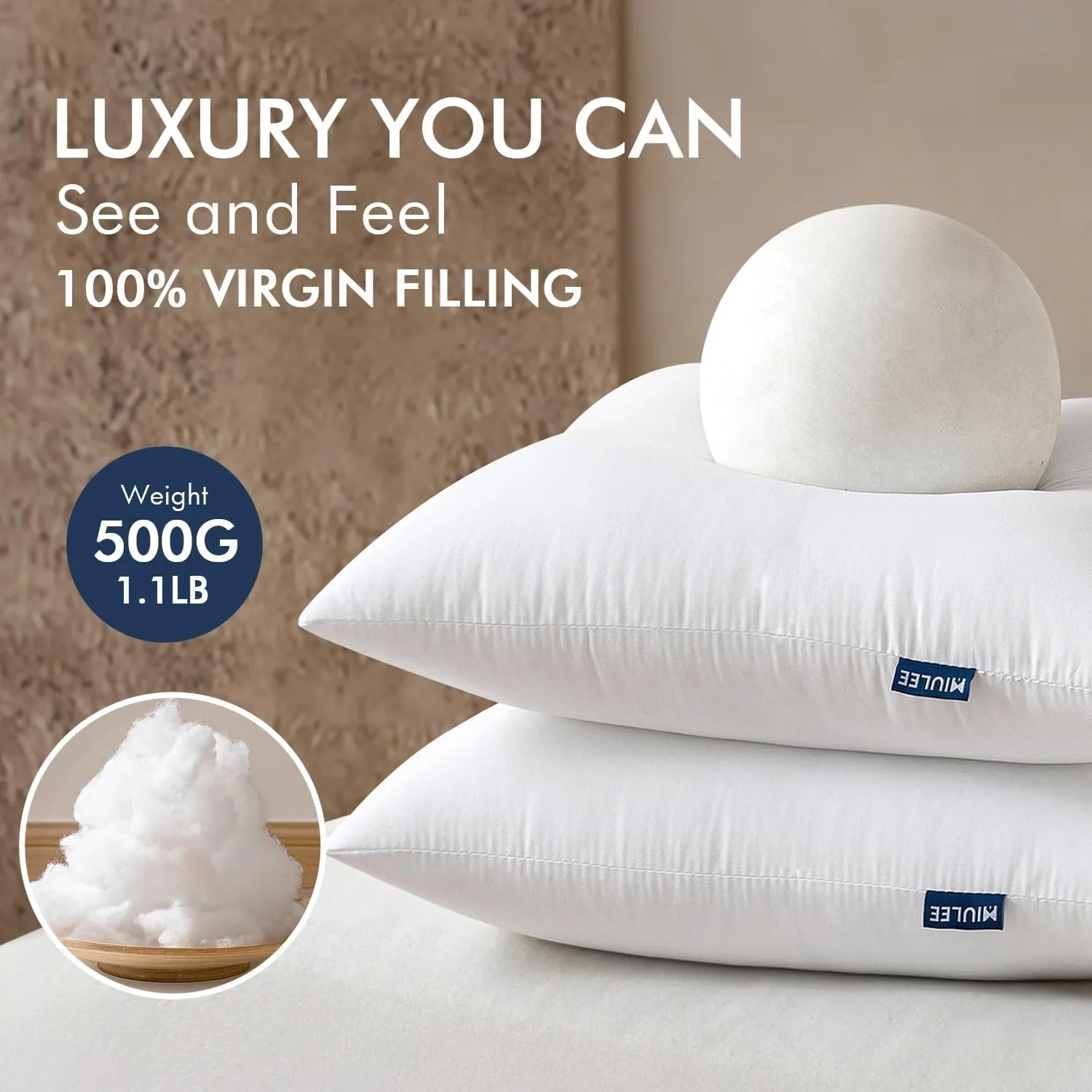 71of4lulw9L. AC SL1500