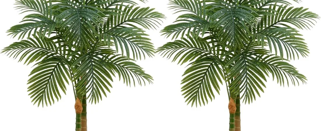 2PCS Artificial Palm Tree Indoor Plant 4FT Tall Fake Tropical Palm Tree in Pot with Real Bark Design Faux Areca Palm Tree for Home Office Living Room Bedroom Farmhouse Outdoor Decor (Black, 4FT-2PCs) 2PCS Artificial Palm Tree Indoor Plant 4FT Tall Fake Tropical Palm Tree in Pot with Real Bark Design Faux Areca Palm Tree for Home Office Living Room Bedroom Farmhouse Outdoor Decor (Black, 4FT-2PCs)