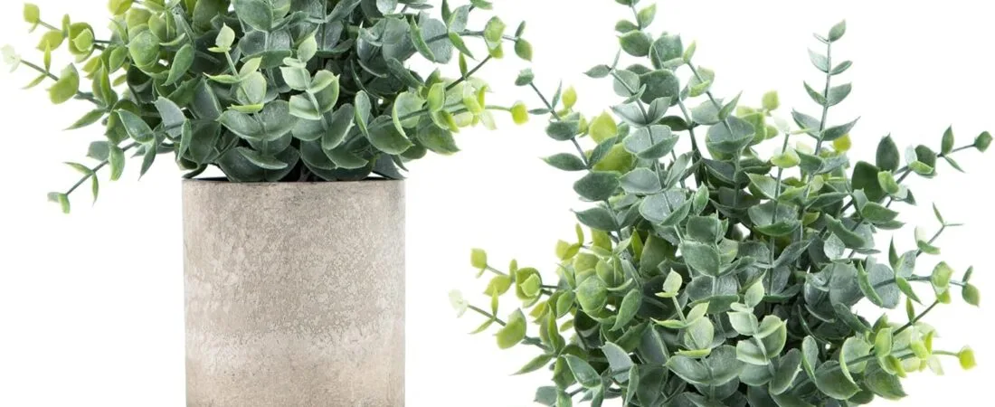 Coferset 2 Pack Small Fake Plants Eucalyptus Potted Artificial Plants for Shelf Desk Home Bathroom Farmhouse Room Coffee Table Decor (Sage Green) Coferset 2 Pack Small Fake Plants Eucalyptus Potted Artificial Plants for Shelf Desk Home Bathroom Farmhouse Room Coffee Table Decor (Sage Green)