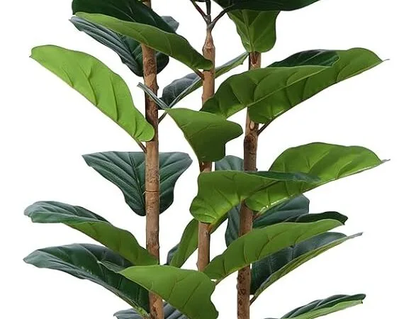 Artificial Fiddle Leaf Fig Tree with White Planter,5ft Tall Fake Tree with Natural Wood Trunk for Home Decor, Faux Ficus Tree Fake Moss for Indoor Office Living Room Artificial Fiddle Leaf Fig Tree with White Planter,5ft Tall Fake Tree with Natural Wood Trunk for Home Decor, Faux Ficus Tree Fake Moss for Indoor Office Living Room