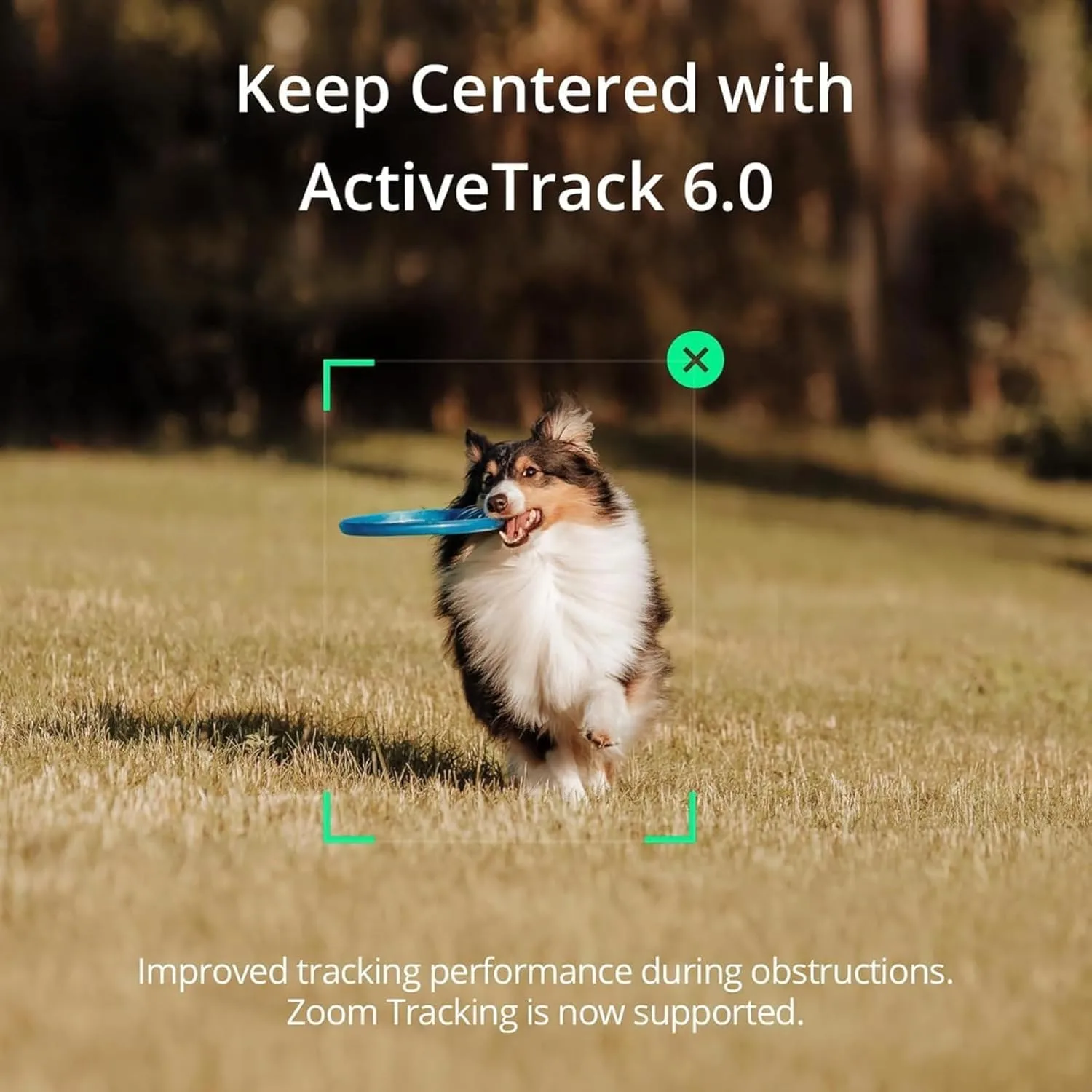 71uqO2wl6GL. AC SL1500