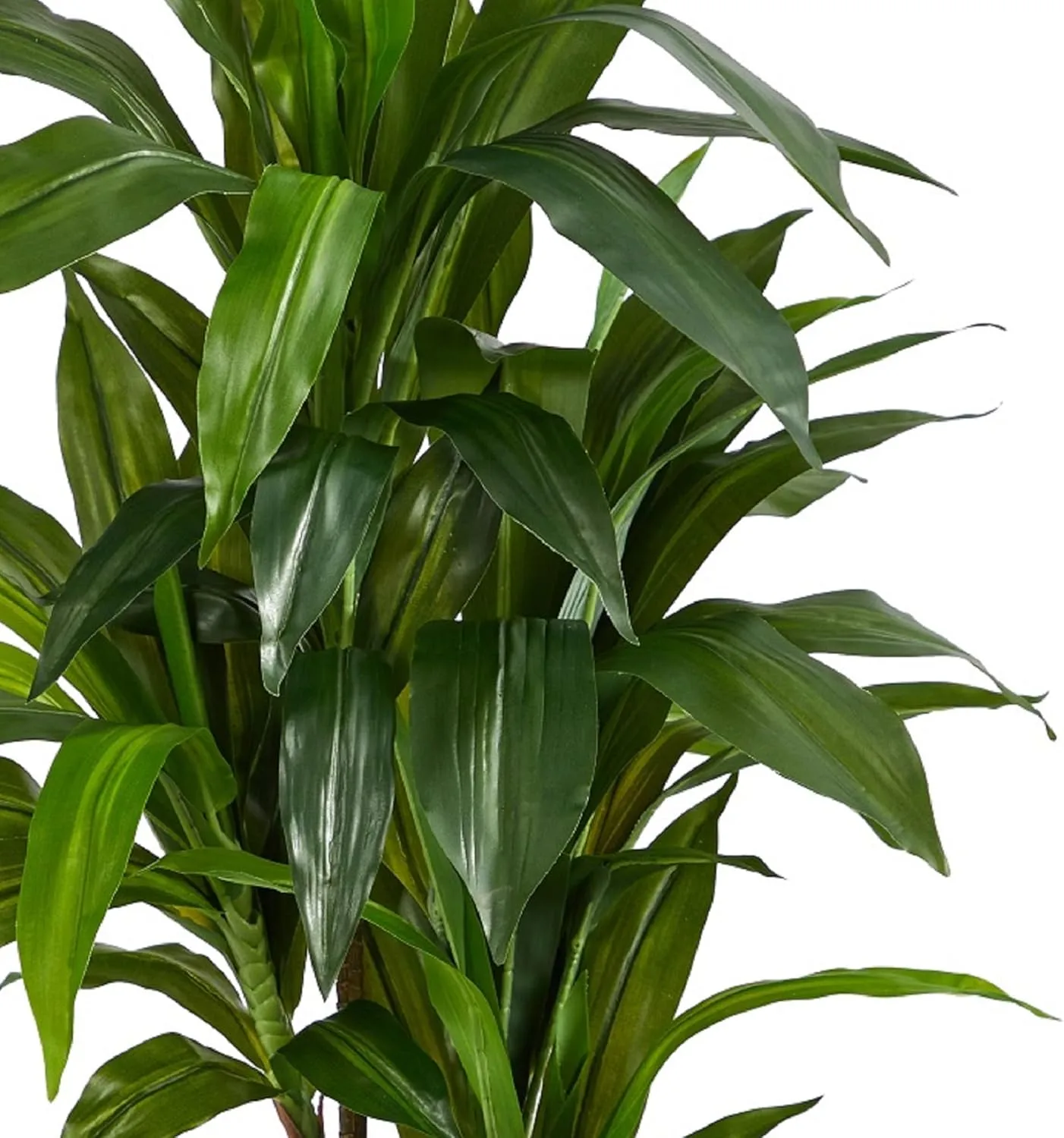 81BglceJdkL. AC SL1500