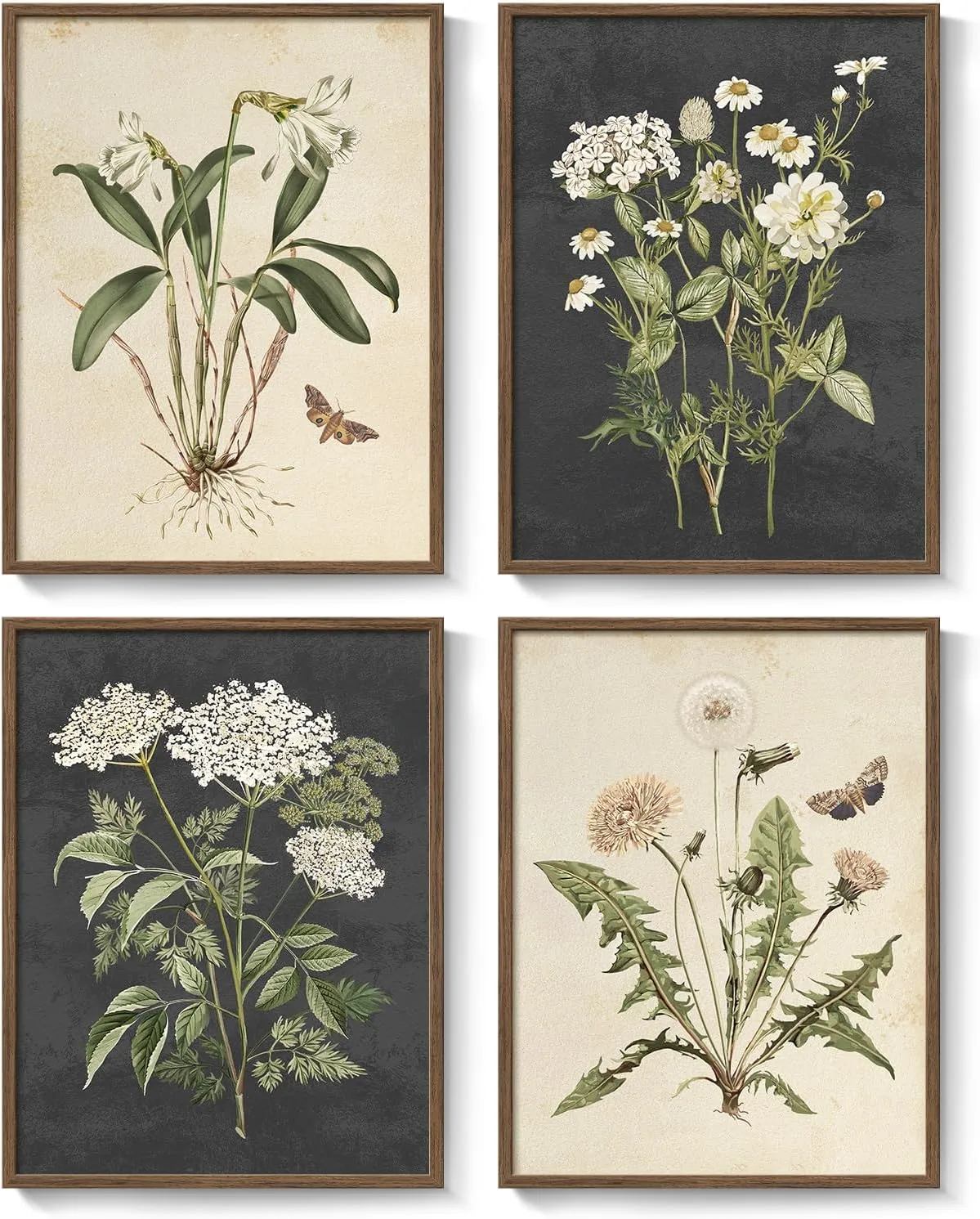 81iClOg8ZdL. AC SL1500