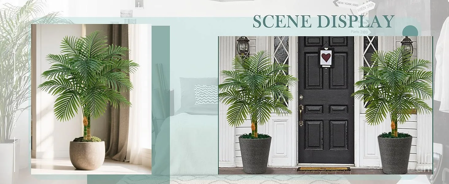 Triple Golden Cane Palm