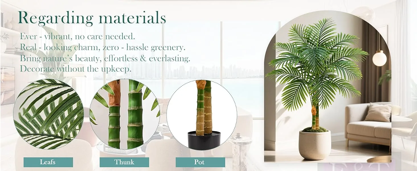 Triple Golden Cane Palm