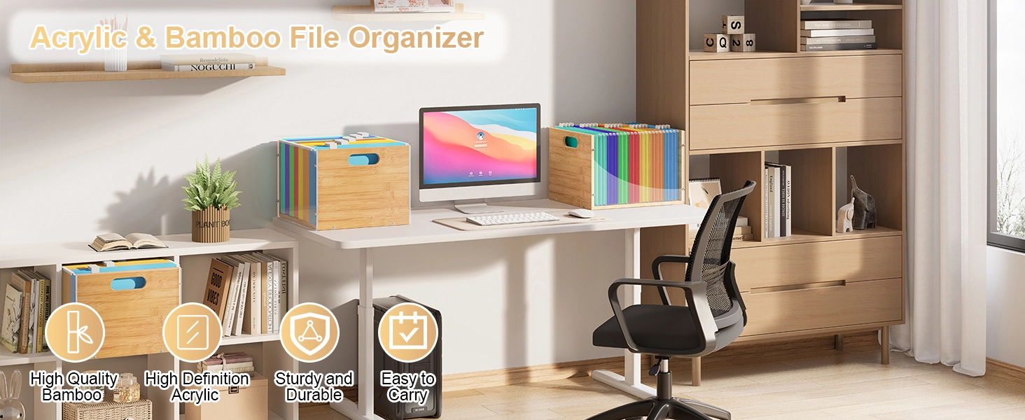 file organizer