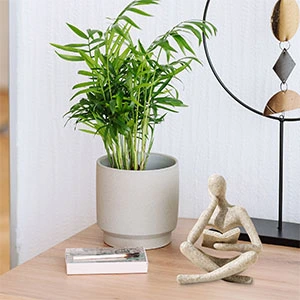 readin statue home decor