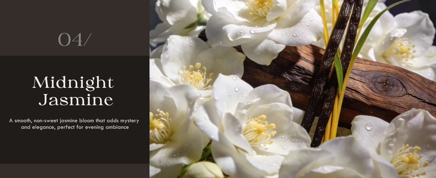 Midnight Jasmine Candles