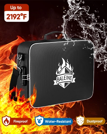 fireproof document bag
