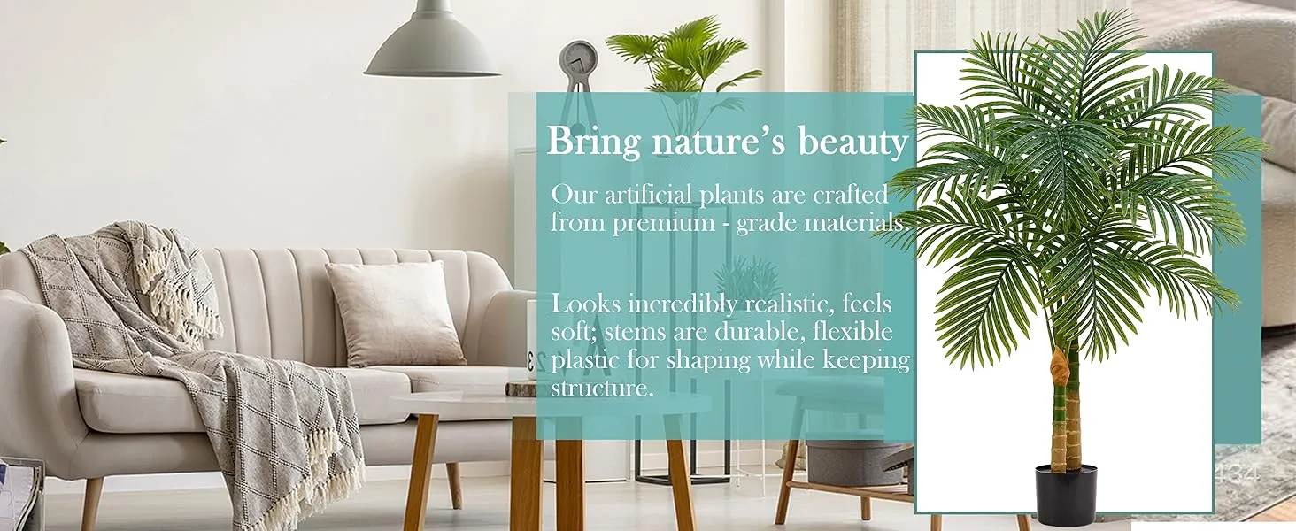 Triple Golden Cane Palm