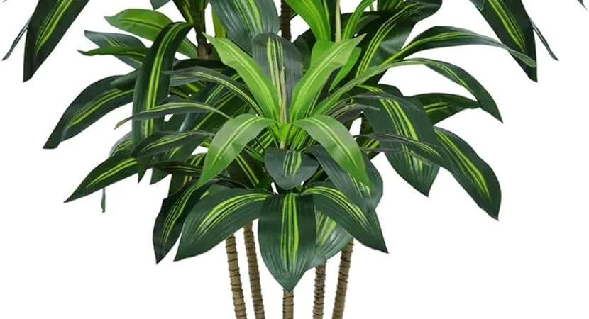 6FT Artificial Dracaena Tree, Fake Tree Indoor with White Tall Planter,Tall Artificial Plants Indoor,Artificial Silk Tree for Home Office Decor (White)