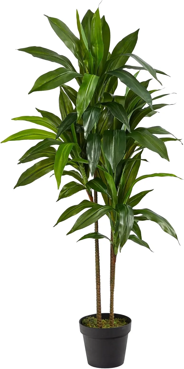 Nearly Natural 48in Artificial Dracaena with Real Touch Leaves and Multi Tonal Trunks, Large Indoor Silk Plant with Pot, Maintenance Free For Living Room And Home Office Decor Nearly Natural 48in Artificial Dracaena with Real Touch Leaves and Multi Tonal Trunks, Large Indoor Silk Plant with Pot, Maintenance Free For Living Room And Home Office Decor