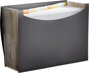 Amazon Basics Expanding Organizer File Folder, Letter Size - Black, 1-Pack