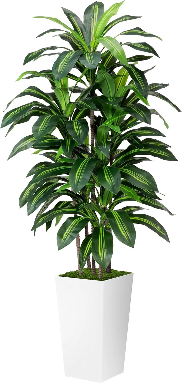 Artificial Dracaena Plant Indoor 5FT – Fake Tree with White Tall Planter – Faux Yucca Tall Fake Floor Plant in Pot – Artificial Trees for Home Office Living Room Decor Indoor Artificial Dracaena Plant Indoor 5FT – Fake Tree with White Tall Planter – Faux Yucca Tall Fake Floor Plant in Pot – Artificial Trees for Home Office Living Room Decor Indoor