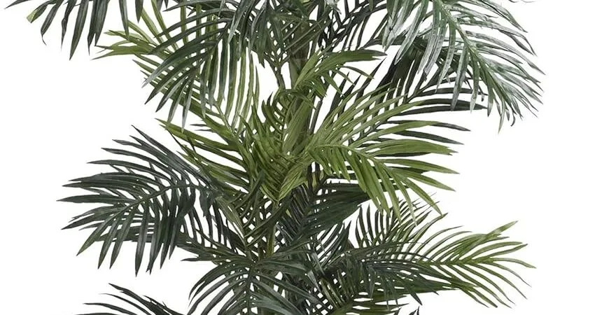 Nearly Natural 6.5ft Artificial Golden Cane Palm Tree, Lifelike Silk Indoor Palm With Three Textured Trunks Flexible Fronds Nursery Planter, Low Maintenance