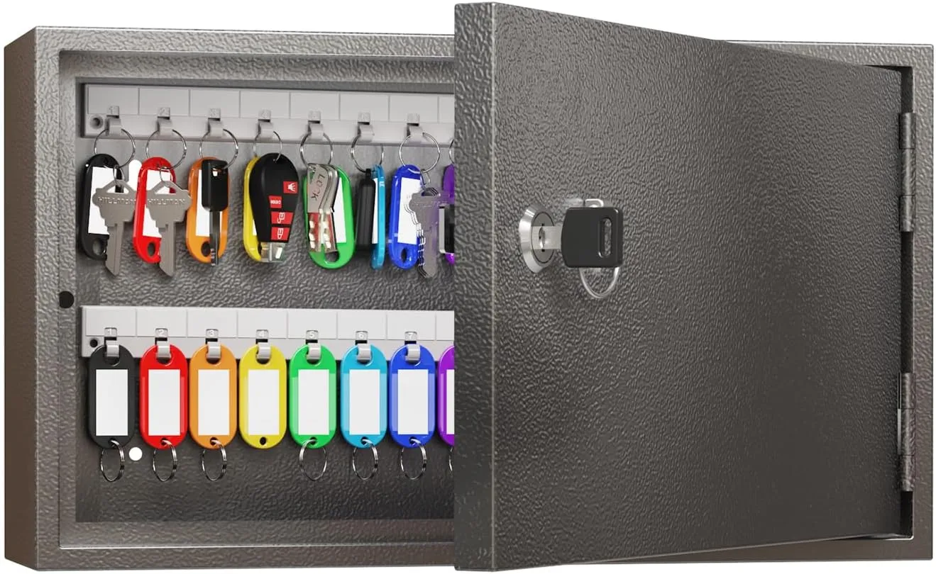 WeHere Key Lock Box for 60 Keys, Wall Mount Key Cabinet with Color Key Tags, Steel Key Storage Box with Lock, Key Holder Organizer for Home, Office, Apartment, Property Management WeHere Key Lock Box for 60 Keys, Wall Mount Key Cabinet with Color Key Tags, Steel Key Storage Box with Lock, Key Holder Organizer for Home, Office, Apartment, Property Management