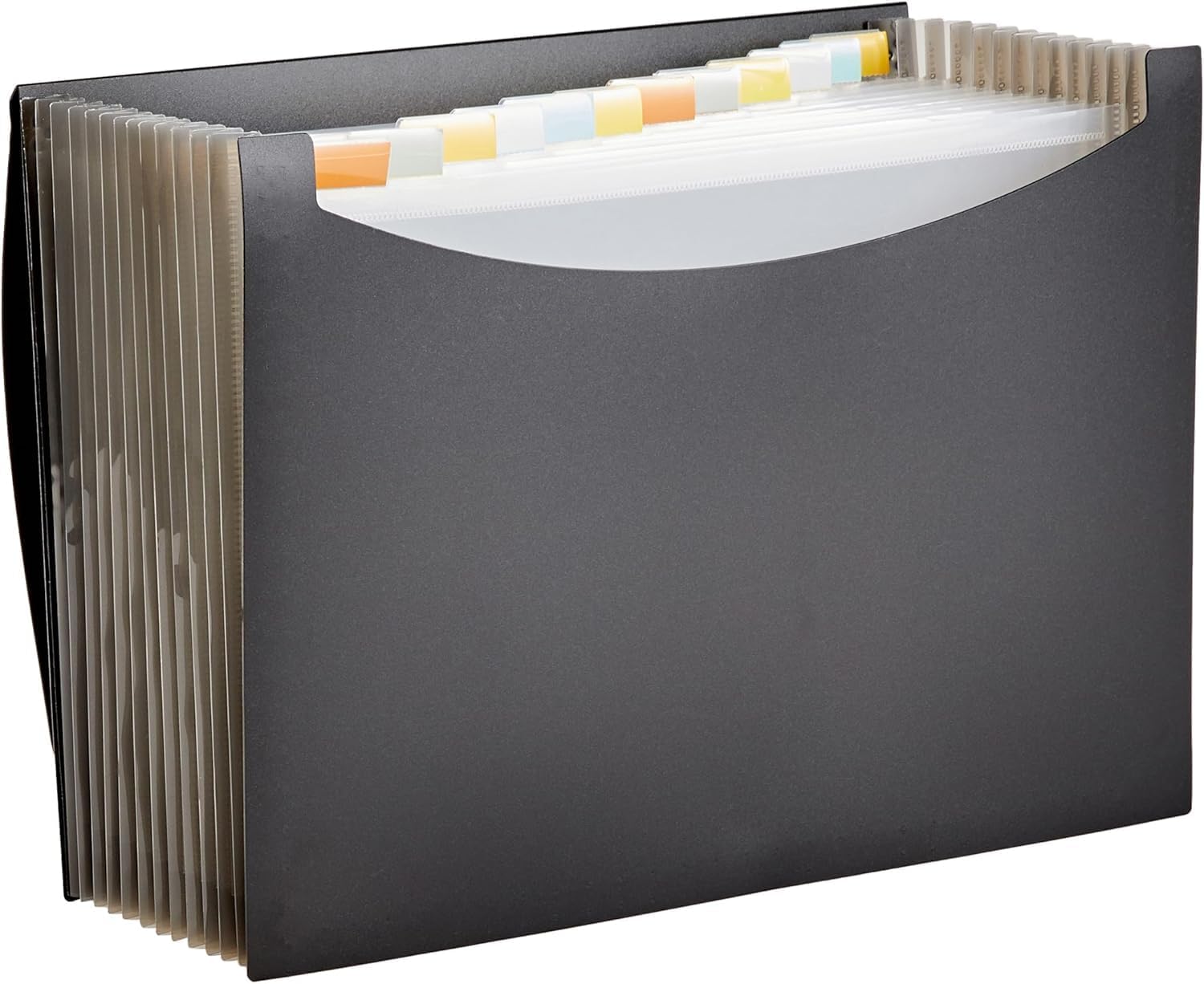 Amazon Basics Expanding Organizer File Folder, Letter Size – Black, 1-Pack Amazon Basics Expanding Organizer File Folder, Letter Size – Black, 1-Pack