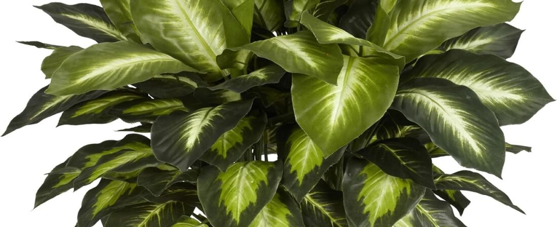 Nearly Natural 24in Dieffenbachia Artificial Plant, Faux Greenery with Decorative Planter for Indoor Home Office Decor, Low Maintenance Nearly Natural 24in Dieffenbachia Artificial Plant, Faux Greenery with Decorative Planter for Indoor Home Office Decor, Low Maintenance